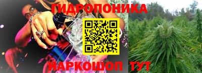 сатива Краснознаменск