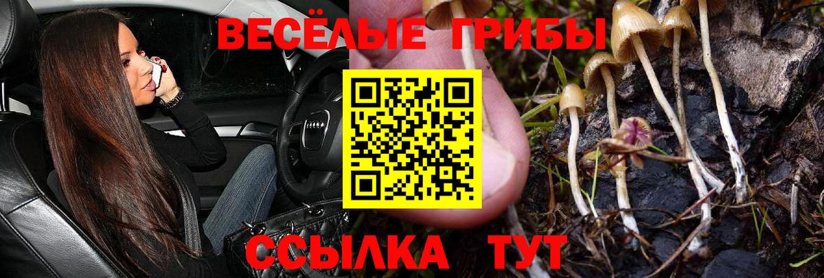 Галлюциногенные грибы Magic Shrooms Йошкар-Ола